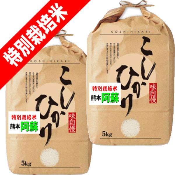 米 10kg 特別栽培米 熊本 阿蘇 コシヒカリ お米 10キロ 令和7年産 玄米 白米 7分づき 5分づき 3分づき オーダー精米 ご注文後に精米 5kg×2袋 送料無料