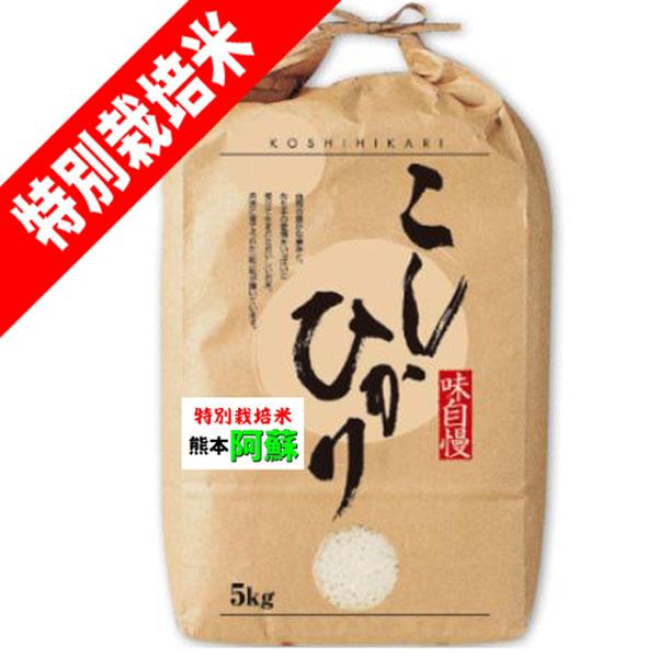 米 5Kg 特別栽培米 熊本 阿蘇 コシヒカリ お米 5キロ 令和7年産 玄米 白米 7分づき 5分づき 3分づき オーダー精米 ご注文後に精米 送料無料