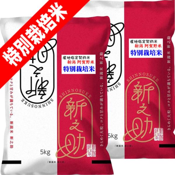 tawaraya-kome_sinnosuke-10 tawaraya-kome_sinnosuke-10