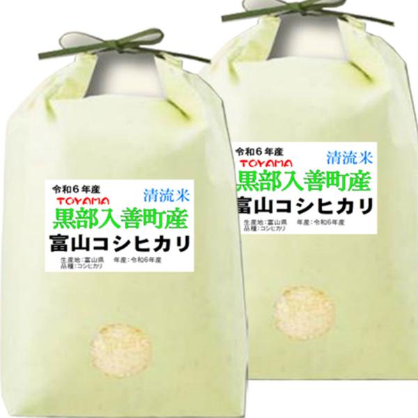 コシヒカリ 米 10kg 富山県産 入善町指定米 お米 10キロ 令和6 コシヒカリ 米 10kg 富山県産 入善町指定米 お米 10キロ 令和6