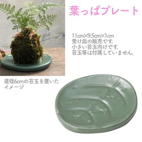 葉っぱのプレート 苔玉サイズ8cm程度まで 苔玉の受け皿に 36 08gr 苔玉とミニ盆栽の店 多輪和 通販 Yahoo ショッピング