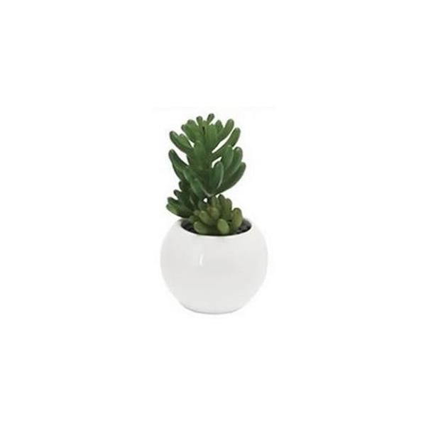 Plant Pod [tOX Z_  gAZC