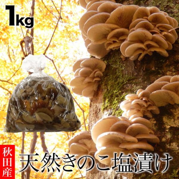 朝採りの天然きのこ数種類を塩漬けにしました！原材料 ナメコ、ナラタケ、ムキタケ、アミタケ他賞味期限 2026年3月お召上がり方  塩抜きをしてお召し上がりください保存方法 冷蔵庫で保存してください内容量 合計1kg産地 秋田県