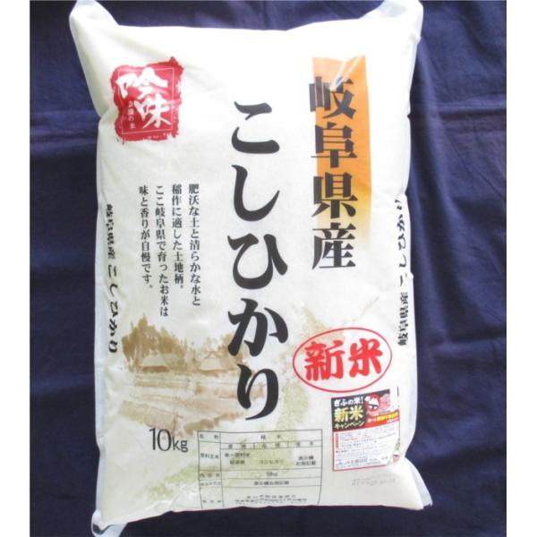 令和7年度産 岐阜県産こしひかり 10kg  お米 白米 精米