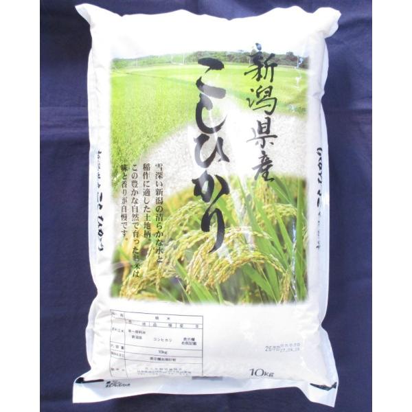 【令和7年度産】 新潟産 こしひかり 10kg ｜ 米 お米 白米 新潟 コシヒカリ 10キロ ギフト 春 プレゼント 贈り物 贈答品 送料無料 上越フルーツ 新生活 応援
