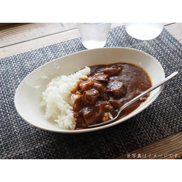 GS ビーフカレー (中辛) 5食分 GS レトルトビーフカレー ジーエスフード  レトルトカレー 200g 簡単 調理 ご飯にかけるだけ 常備食 業務用 牛肉 野菜