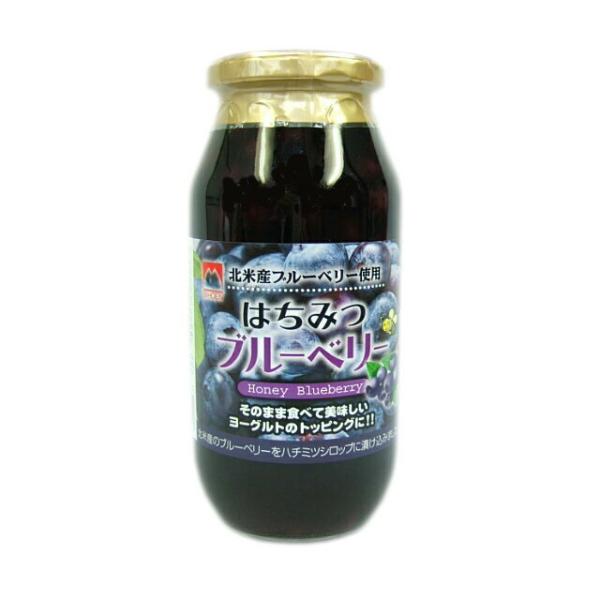 サクラ印 はちみつブルーベリー 650g フルーツソース ブルーベリー はちみつ漬け 果実入り 甘さ控えめ ヨーグルト トースト パンケーキ デザート用 ロングセラー