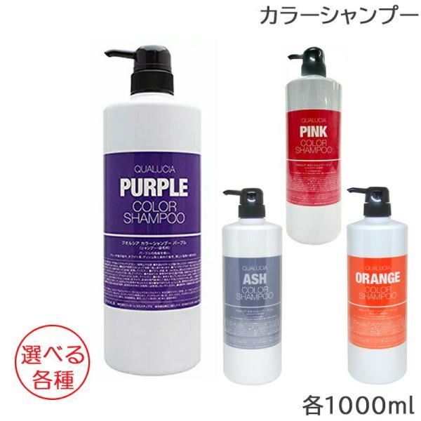 FIOLE（フィヨーレ） クオルシア カラーシャンプー 1000ml 選べる各種