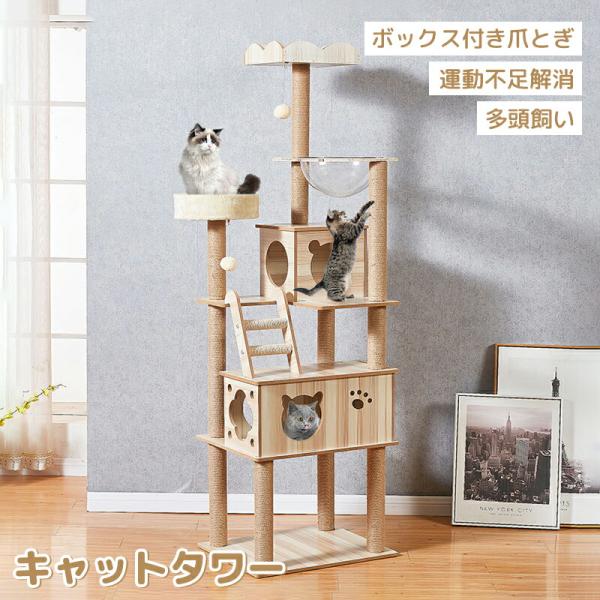 猫型木製スタンド 41s5qJswVtL.jpg_BO30,255,255,