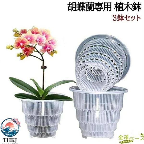 胡蝶蘭専用 植木鉢 3鉢セット 胡蝶蘭の植え替え 鉢 受皿付き 多穴型  通気性抜群 根腐れ防止 直径10/12/15cm 排水穴付き プラスチック おしゃ 使いやすい