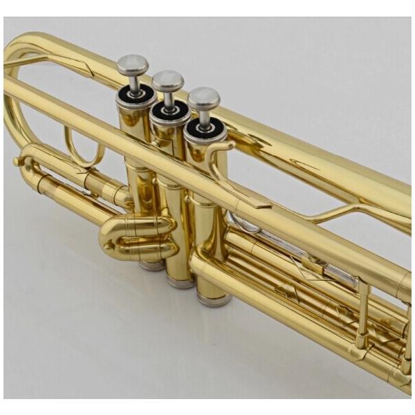 トランペットbb 管楽器 吹奏楽器 マウスピース トランペット Nickel Nmf009 Tbirds Absケース マウスピース クリーニングクロス Plated