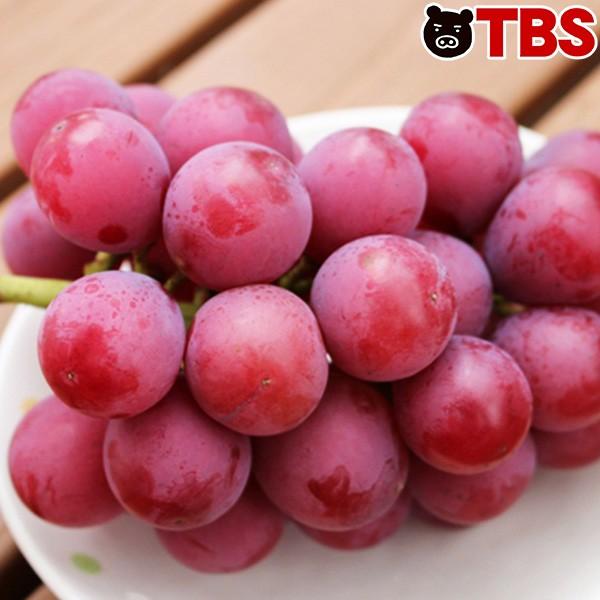 長野県産 クイーンニーナ 1 5kg 500g 3房 Tbsショッピング Tbsショッピング 通販 Paypayモール