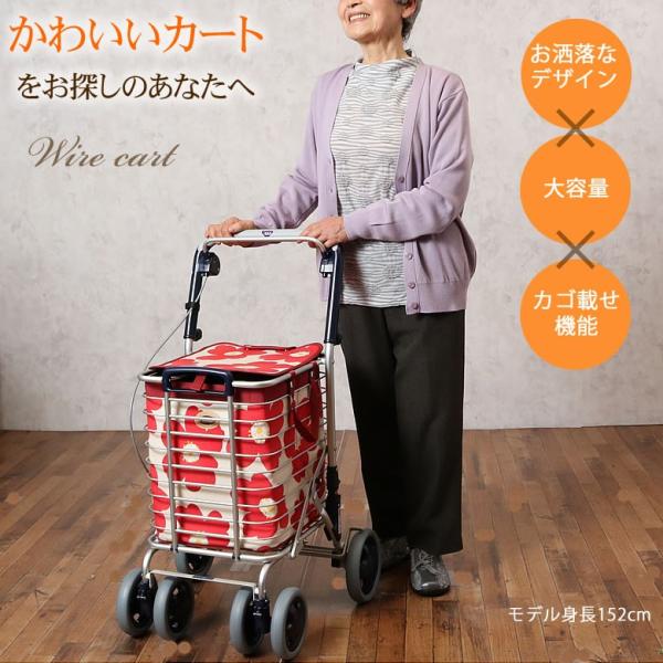 ショッピングカート おしゃれ手押し車 高齢者 老人 アルミワイヤーカート ブレーキ付 Sgマーク取得商品 高齢者用手押しタイプブレーキ付 Buyee 日本代购平台 产品购物网站大全 Buyee一站式代购 Bot Online