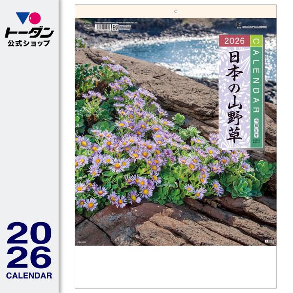 トーダン 2026年 カレンダー 壁掛け 日本の山野草 53.5 x 38cm TD-818