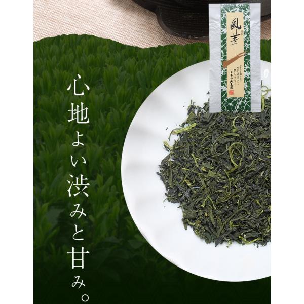 F{  100g { 蒃 Β t ̗t t