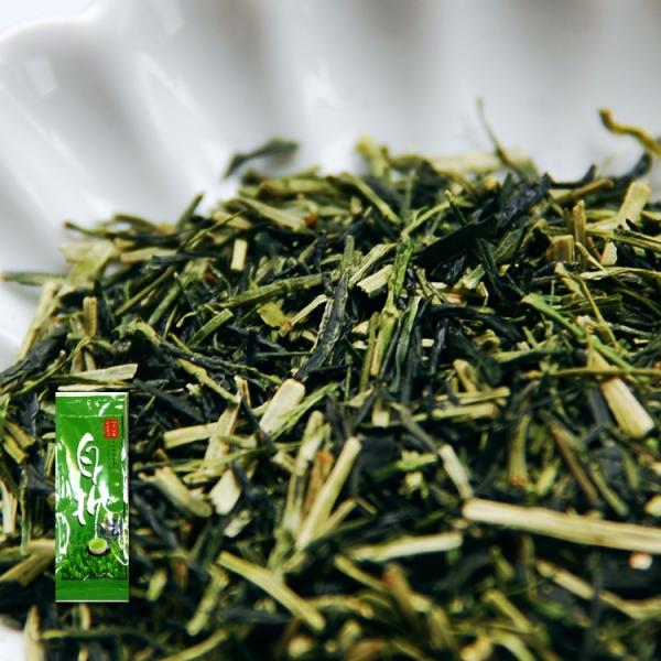 上・白折茶 鹿児島産 深蒸し茶 100g×2個セット