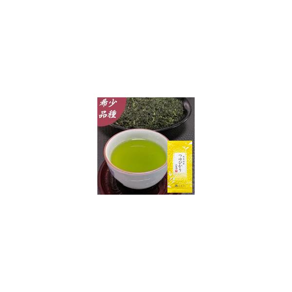 つゆひかり 熊本 玉緑茶 茶葉 100g お茶 緑茶 希少品種