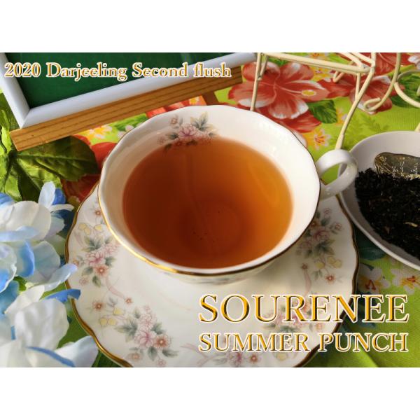 紅茶 ダージリン - 茶葉・インスタントドリンクの人気商品・通販・価格比較 - 価格.com