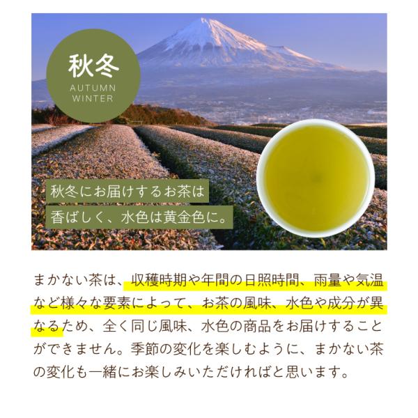 緑茶 日本茶 ティーバッグ まかない茶 100個入 お茶 緑茶パック 水出し お茶パック 静岡茶 静岡県産 送料無料 ポイント消化 /【Buyee】 緑茶 日本茶 ティーバッグ まかない茶 100個入 お茶 緑茶パック 水出し お茶パック 静岡茶 静岡県産 送料無料 ポイント消化 /【Buyee】