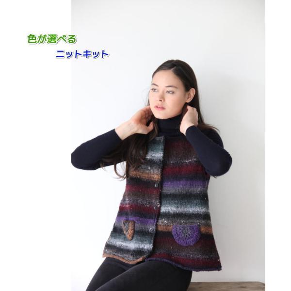編みものキット ベスト 毛糸 野呂英作のくれよんで編むポケットが可愛いベスト セット