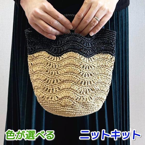 ハマナカ 編みもの キット バッグ 夏糸 エコアンダリヤで編むバイ