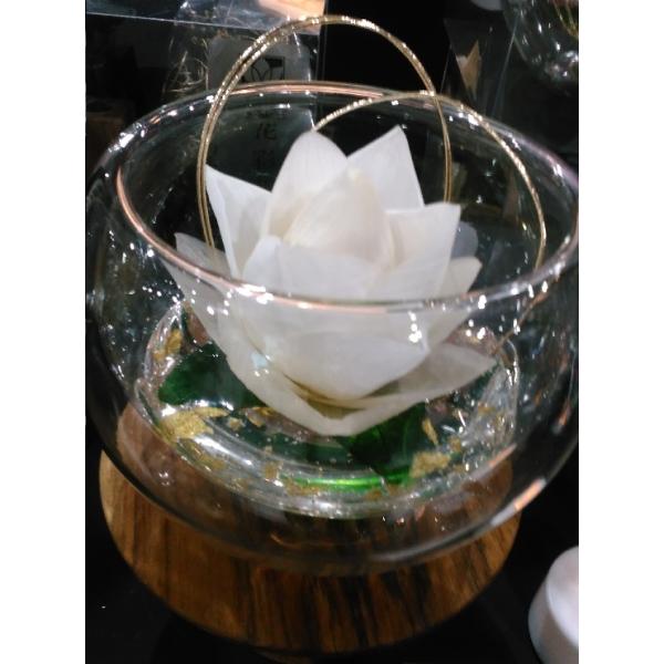 uU[uht[@ԃnJ@EEE@EdE@