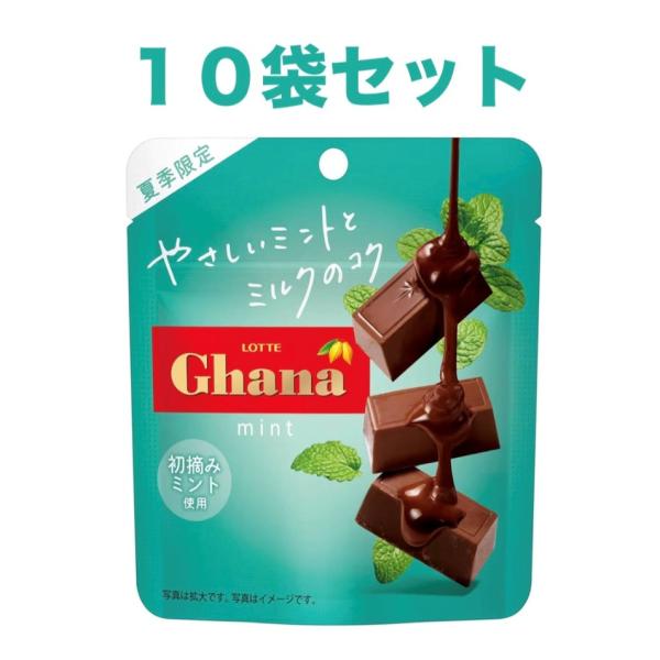 ロッテ 2025 ガーナミントチョコレート 33g 10袋セット 福岡第一倉庫