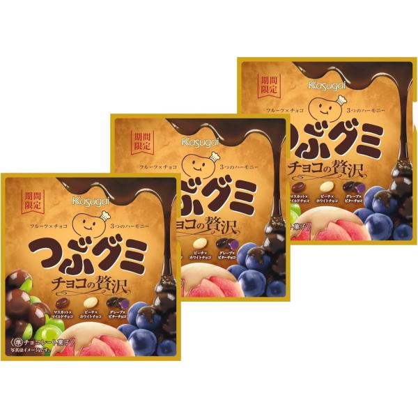 期間限定 まとめ買い3袋セット】 春日井製菓 Kasuga つぶグミ チョコの