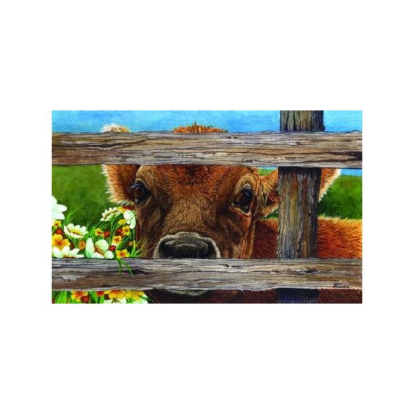 techno-launcher_new-b008s3cvs0