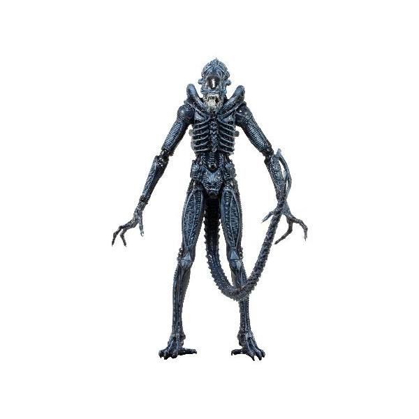 NECA ネカ エイリアン ウォーリアー NECA（ネカ） エイリアン 7インチ アクションフィギュア シリーズ2