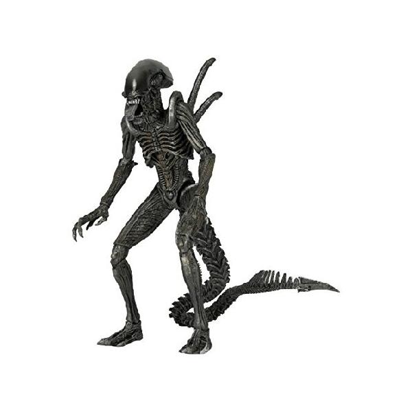 NECA ネカ エイリアン 7インチアクションフィギュア シリーズ7 AVP