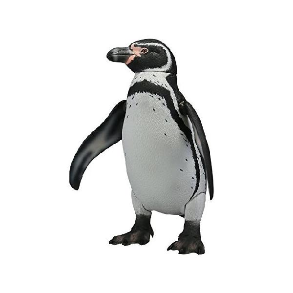 アナペンギン 楽天市場】クロックパズル ペンギン ウッドパズル CLOCK PUZZLE 組立