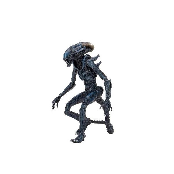 NECA（ネカ） NECA Alien vs Predator 7