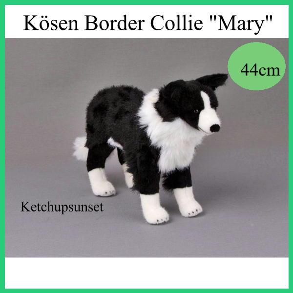 ケーセン ボーダーコリー KOSEN Koesen Border Collie dog 犬の