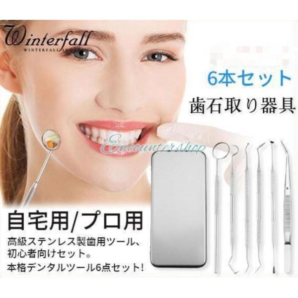 歯石取り器具 6本セット ステンレス製 自宅用 デンタルツール 歯 ヤニ 歯垢 しこう取りスケーラー プロ用