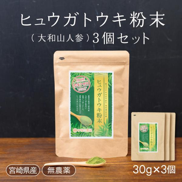 ヒュウガトウキ葉 粉末 高千穂町産 お徳用　30ｇ×3袋 冷え むくみ　抗菌