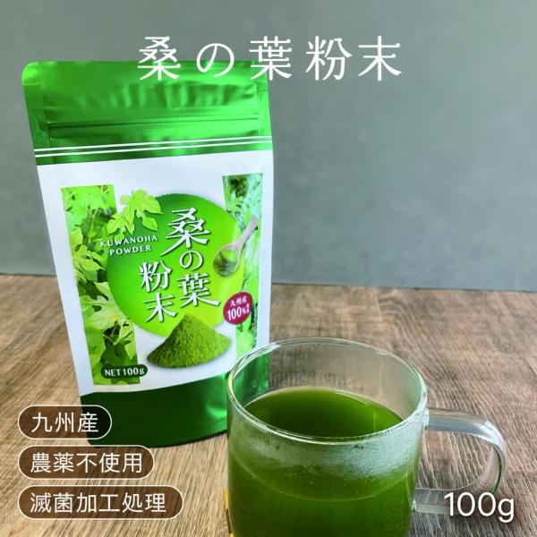 【 桑の葉粉末 100g】九州産  桑の葉100％ ビタミン 鉄分 食物繊維  血糖値サポート ダイエット ノンカフェイン 農薬不使用 滅菌粉末加工処理済