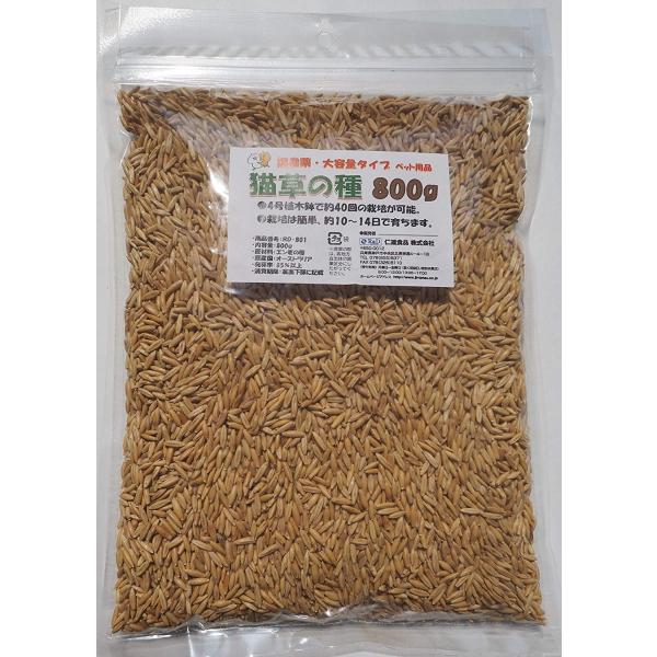 仁達食品 猫草の種 大容量タイプ800g入り 約1．3L（農薬未使用