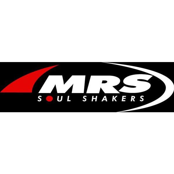 M-TEC中京 【4582677496875】 MRS-Z4-E014 イグニッションコイル