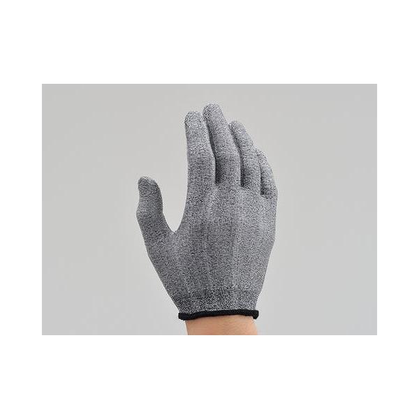 DAYTONA fCgi   19012 HBV-029 ڐG⊴Ci[O[u