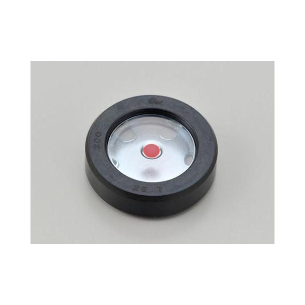 DAYTONA fCgi   65982 2/Nb`Lbgp IC|bgEChE