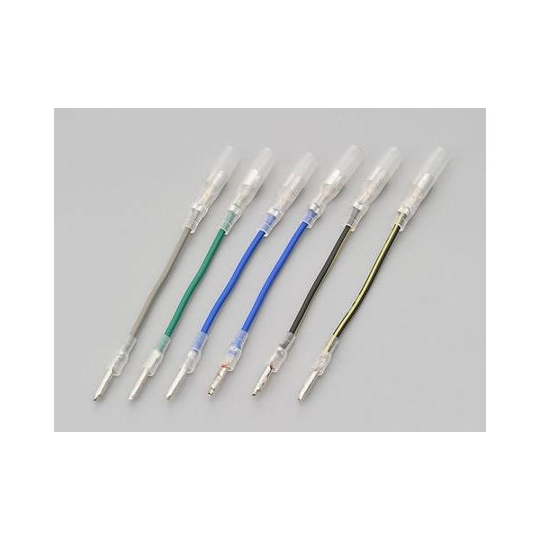 DAYTONA fCgi   70846 ECJ[ϊn[lX z_p