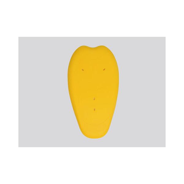 DAYTONA fCgi   92824 SAS-TEC wveN^[