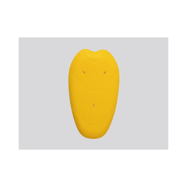 DAYTONA fCgi   92825 SAS-TEC wveN^[