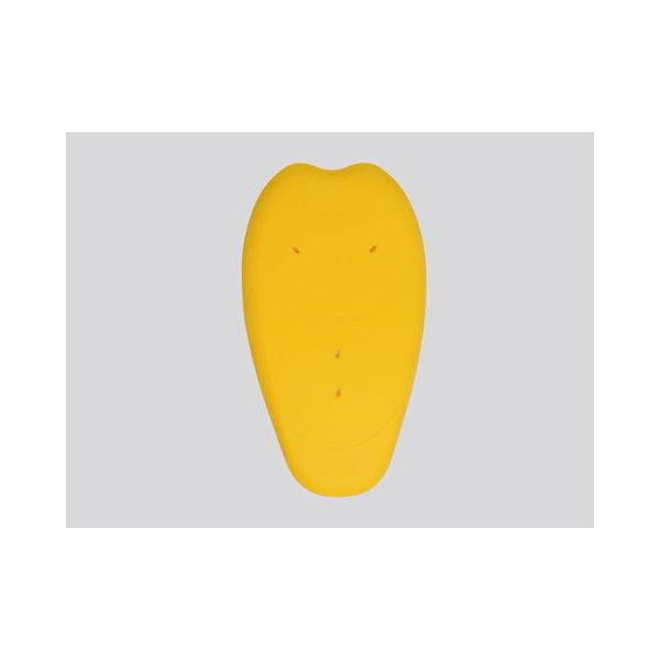 DAYTONA fCgi   92840 SAS-TEC wveN^[