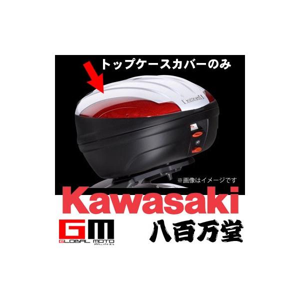 JTL  gbvP[XJo[ Ninja ZX-14R '12 E131LUU00color  KAWASAKI