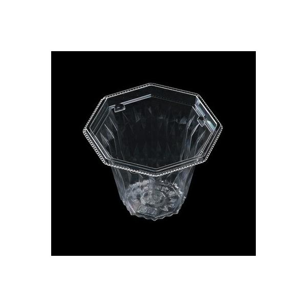 TKG  Ɩp ĝėe  T_ Jbgt[c XC[c eCNAEg APpJbv-128 50 qXKT-74r{ 7-1472