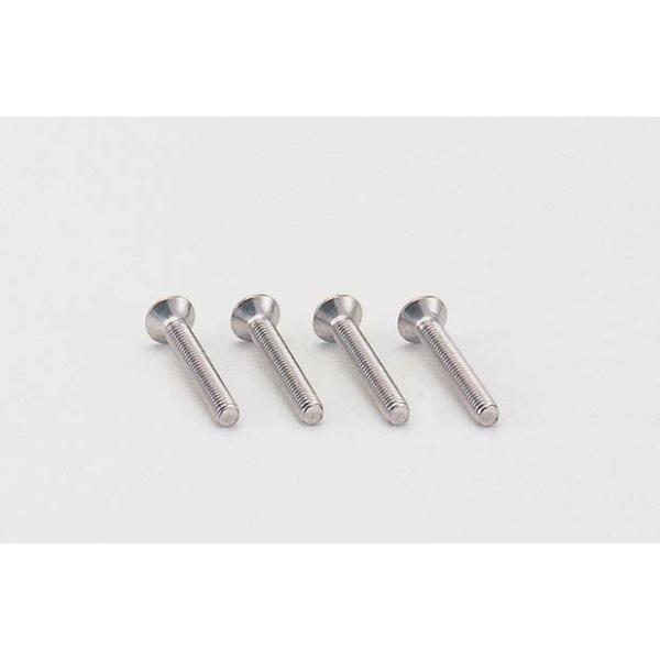 4945716904616 ウィンカーレンズビス 4PCS ステン スリム＆シャープ