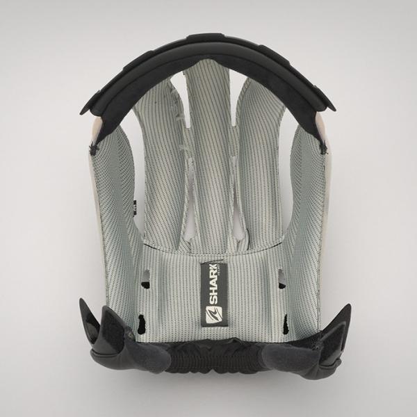 3599180000000  }n     DRAK p@RtH[gCi[@STCY@Vo[@Cp   SHARK wbgIvV