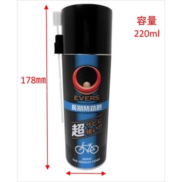 EVERS Go[X    4973291707612  70761  P~J hK EVERS Go[X IWifUC